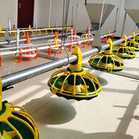 Nouvel équipement d'élevage au sol pour poulets de chair, pour 50 000 poulets, avec système de ventilation, en plastique et à commande automatique