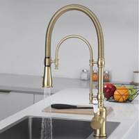 Printemps Pull out brossé or vintage chaud froid mélangeur purificateur eau flexible robinet de cuisine