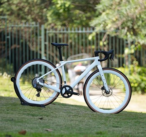 Newest <b>Cheap</b> Gravel X Wheeltop Gex-13speed Hydraulic Disc Thru-axle Full Carbon Fiber Road Bike 700*40c Gravel X, Wheeltop Gex- - Product Image 1