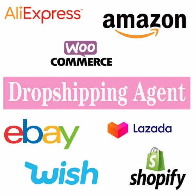 Professional Dropshipping E-commerce Agent Fast Order Fulfillment Services For Shopify Wish Online Retailer