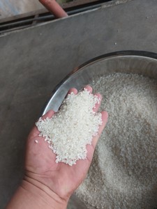 Arroz pegajoso redondo de grano corto Japonice arroz de sushi secado suave de molino Al Por Mayor Riz Arroz - Product Image 6