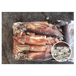 Squid Import China Trade,Buy China Direct From Squid Import Factories at
