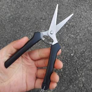 กรรไกรตัดแต่งกิ่งไม้พุ่มวิสทีเรีย ใบมีดสแตนเลส ปากตรง ด้ามจับสีแดง แบบบายพาส เครื่องมือทำสวน - Product Image 4