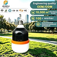 Ampoule LED d'urgence extérieure rechargeable par USB avec batterie amovible et rétractable pour panne de courant – Vente en gros