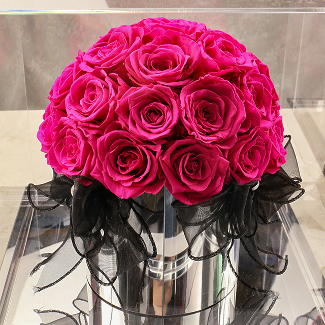 Fucsia