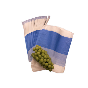 Kantong Pelindung Buah dari Kertas Biodegradable Buatan Cina untuk Pertanian, Kantong Penutup Pohon Anggur dan Jambu - Product Image 6