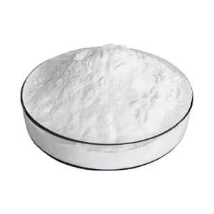 Free Sample Preservative E282 99% Min Calcium Propionate Powder for Bread/Cakes/Cheese