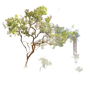 Bouquet d'herbe de cheval artificielle en plastique 100cm-200cm pour vitrine, aménagement paysager, plante hautement réaliste, haut de gamme, bionique d'intérieur - Product Image 5