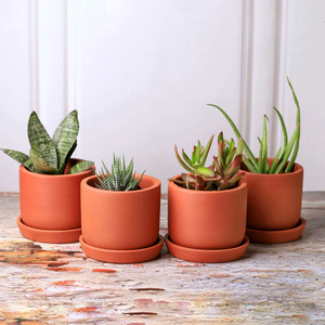Handcrafted Sage Terracotta Planters <b>Set</b> of 4 for Indoor Outdoor Balcony Terrace Garden Home Décor Rustic <b>Clay</b> Flower Pots - Product Image 1