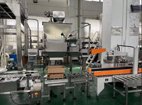 Machine d'emballage entièrement automatique pour noix de cajou mélangées, remplissage par poids dans des cartons en papier pour aliments secs, 5kg 10kg 15kg 20kg