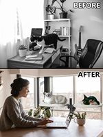 Spinnable 2 nid surélevé intérieur Double chat lit de bureau accessoire de bureau deux perchoir de chat pour lit hamac monté sur bureau à domicile
