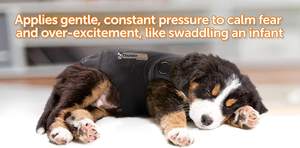 कुत्तों के परिधान के लिए शीतकालीन पालतू जैकेट और कैनाइन आराम के लिए आपूर्ति - Product Image 4