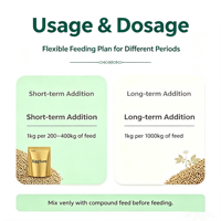 EggSure Additif Alimentaire Naturel à Base de Plantes pour la Santé Gastro-intestinale, Prolonge la Plage de Ponte, Améliore la Qualité des Œufs pour les Poules Pondesuses