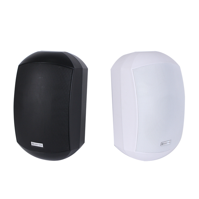 V Indoor/Outdoor Wall Speaker with IP66 Rating & 160° Bracket for Resort Pool Areas in Versatile Wall Speaker