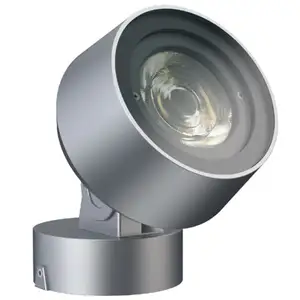Tốt nhất bán AC100-240V Led Đèn Pha 20W 30W 50W 100W LED Spotlight không thấm nước IP66 chiếu sáng cảnh quan chuyên nghiệp ngoài trời