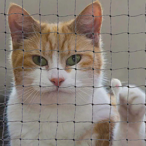 Rete di protezione per animali domestici stabilizzata UV per balcone esterno in plastica Balkon Rnleri <span class=keywords><strong>Butik</strong></span> Malzemeler Balkon Filesi - Product Image 1