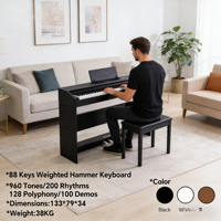 Piano numérique professionnel certifié avec logo personnalisé, 88 touches, 3 pédales, 960 sons, connexion MIDI, planche à son en bois massif, Beffa