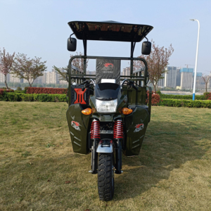 Tricycle de moto à moteur à trois roues <span class=keywords><strong>Trike</strong></span> à essence Tricycles motorisés <span class=keywords><strong>250cc</strong></span> 300cc - Product Image 1