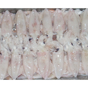 Đông Lạnh Mực Toàn Bộ Vòng Tất Cả Các Kích Thước Làm Sạch Mực Loligo Mực Đông Lạnh - Product Image 4