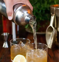 Ensemble de shaker à cocktails Camol personnalisé 5 pièces, shaker de 750 ml avec doseurs de 15/30 ml, pailles verseuses, kit de barman en acier inoxydable