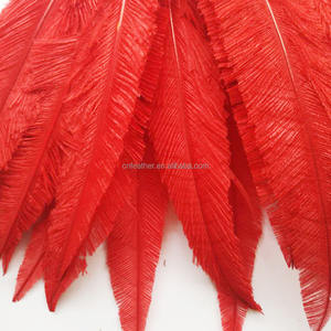 Plumas de avestruz recortadas <span class=keywords><strong>Nandu</strong></span> de 50cm para fiesta, hogar, boda, jarrón, decoración artesanal, sombrero Floral, tocado, sombrerería, accesorio para la cabeza - Product Image 1