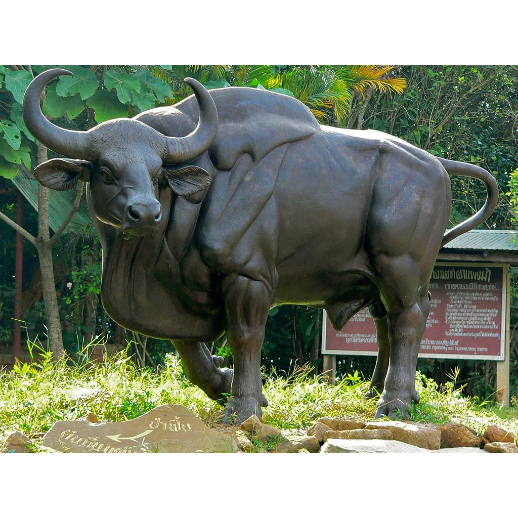 買取り実績  Gaur at Factories Gaur From Direct China Trade,Buy China 工芸品
