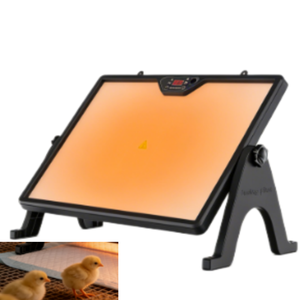 Lámpara de calor de doble cara para aves de corral, placa calefactora para pollitos, equipo calentador para crías de aves, calentador para animales - Product Image 4