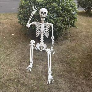 Scheletri di Halloween Economici da 160 cm (5,4 Piedi) per Interni ed Esterni, in Posizioni Umane, in Vendita - Product Image 3