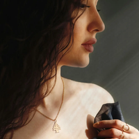 Collier en Cèdre du Liban Pendentif porte-bonheur en Cèdre du Liban Cadeau Bijouterie fine plaquée or PVD 18K