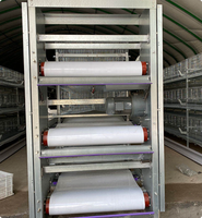 Nouvelle cage à poulets empilable en acier galvanisé à chaud de type H à 4 niveaux, entièrement automatique et personnalisable, durable, durée de vie de 20 à 25 ans