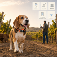 Collier GPS 4G pour animaux de compagnie, vente en gros d'usine, localisateur d'animaux IP67 avec fonction de suivi de localisation et de clôture géographique pour chiens et chats