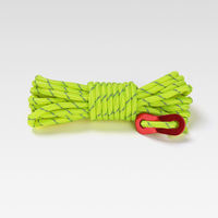 Cordon de parachute de 4 mm type III pour tente, camping, laisse de chien, survie