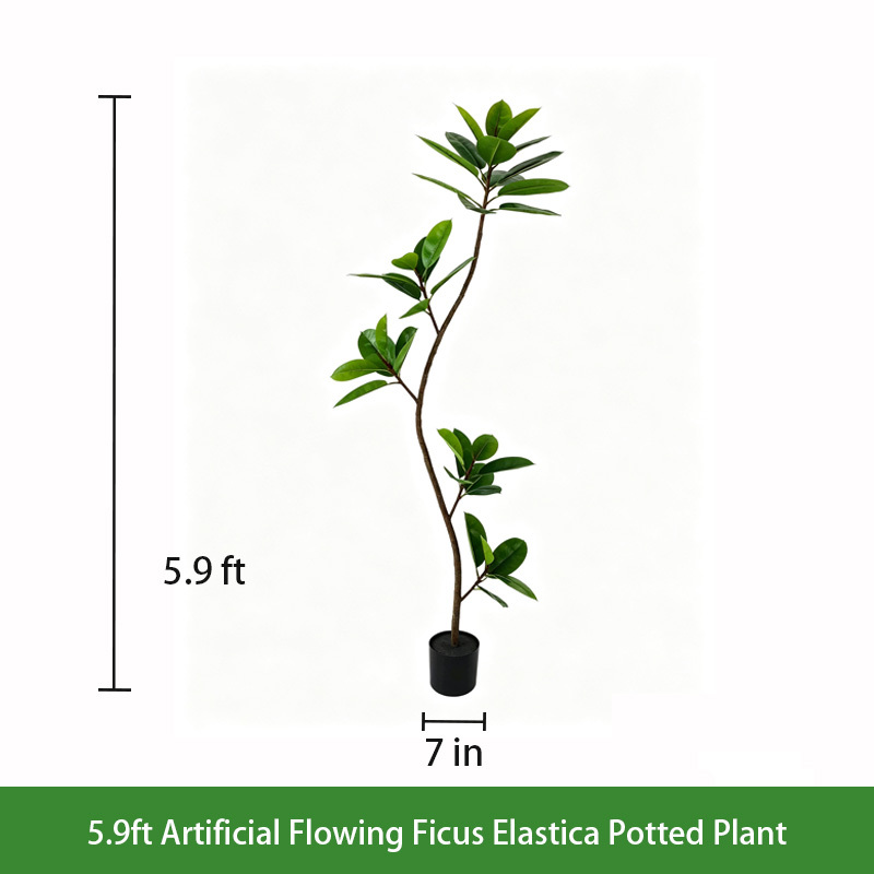 5.9ft