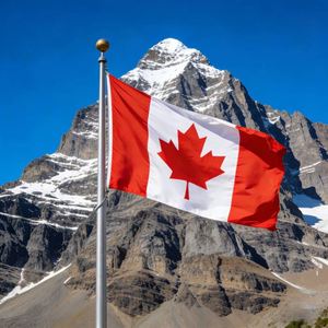 Drapeau national canadien personnalisé en polyester 3x5 pieds - En stock, drapeau imprimé numériquement, livraison rapide (en gros) - Product Image 3