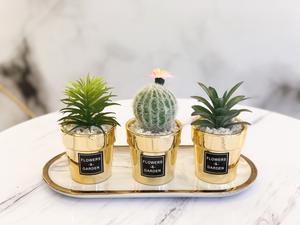Mini Simulation Plantes Succulentes Table En Pot Décoratif Plantes De <span class=keywords><strong>Cactus</strong></span> Artificielles VP-HL004 - Product Image 5