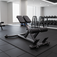 Chaise romaine d'hyperextension pliable en métal durable OEM/ODM unisexe pour entraînement commercial de fitness, capacité de charge élevée 45 kg