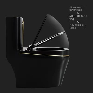 Abattant de toilette en céramique noire de luxe léger, pompage par siphon, design moderne pour salles de bain <span class=keywords><strong>à</strong></span> domicile - Product Image 5