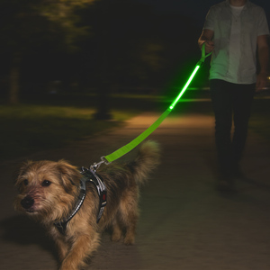 Correa de Perro LED Iluminada Recargable por USB Personalizada de Fábrica Profesional OEM ODM para Caminar de Noche con Seguridad, Correa de Mascotas LED - Product Image 1