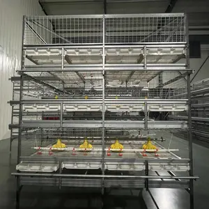 Neues Design ausziehbarer boden automatischer H-Typ Broiler Hühnerkäfig Batteriekäfige für Geflügel Broiler