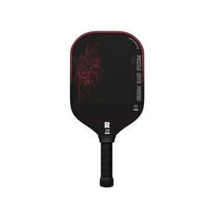 Pala de Pickleball de Fibra de Carbono T800 - Rendimiento Profesional, Molde Integrado Prensado en Caliente - Product Image 1