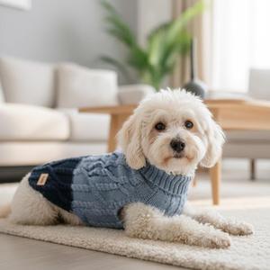 Pull pour chien Tomy bicolore, doux et chaud, tricoté, tailles XS à XL, 6 couleurs, design moderne, vêtements pour animaux de compagnie - Product Image 2