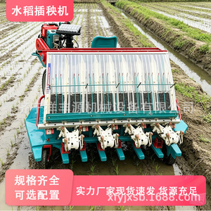 Transplanteur de riz 8 rangs, moteur diesel, haute productivité, équipement agricole pour la plantation de riz - Product Image 5