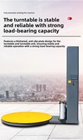 Machine d'emballage électrique automatique portable avec pompe et PLC pour la logistique alimentaire et des boissons