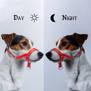Logotipo personalizado prevenir a reflectante ajustable y controlar fácilmente <span class=keywords><strong>acolchado</strong></span> de neopreno cómodo perro mascota boca <span class=keywords><strong>bozal</strong></span> - Product Image 3