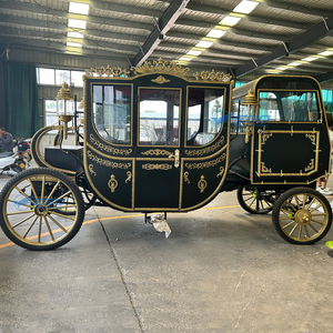 Carrozza reale di lusso del cavallo con la carrozza a cavallo elettrica sigillata dell'automobile su misura l'alta qualità carrozza reale da vendere - Product Image 3