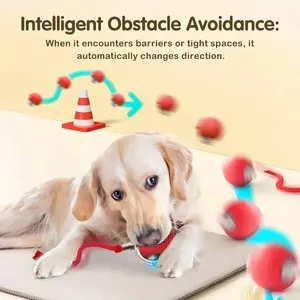 Durable Plastic Smart Pet Interactive Eco-Friendly Rechargeable Automatic Rolling Ball Boredom Buster Fun Tail <strong>Cats</strong> - Product Image 5