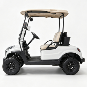 Carrito de Golf Eléctrico Modelo D con Faros LED, Estructura de Acero de Alta Resistencia, Certificado CE/GCC, Logotipo Personalizado para Resorts - Product Image 4