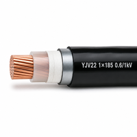 Câble d'alimentation blindé YJV22 1 conducteur 1*185 0,6/1kV en cuivre isolé XLPE avec bande d'acier blindée et gaine PVC type NH