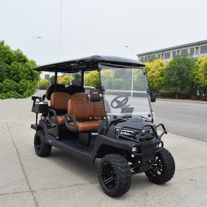 Carritos de Golf de Lujo para 6 Personas, 4+2 Plazas, con Batería de Litio, Asientos Inteligentes de Alta Gama, Color Metálico, Precios de Fábrica - Product Image 6