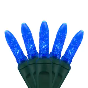 Commerciële Kwaliteit 70 Lampjes M5 Mini Led Lichtslinger Blauw 4 ''Kerst Strandverlichting Set